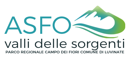 logo asfo