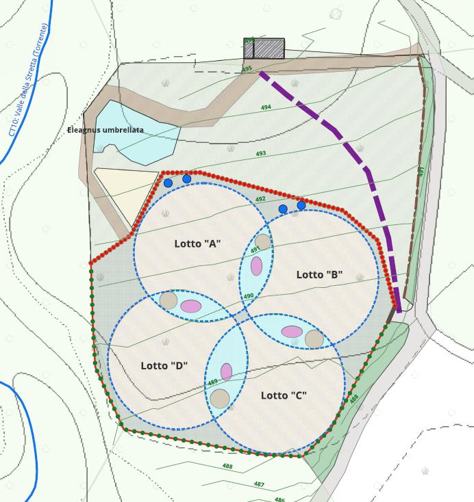 progettazione sostegno