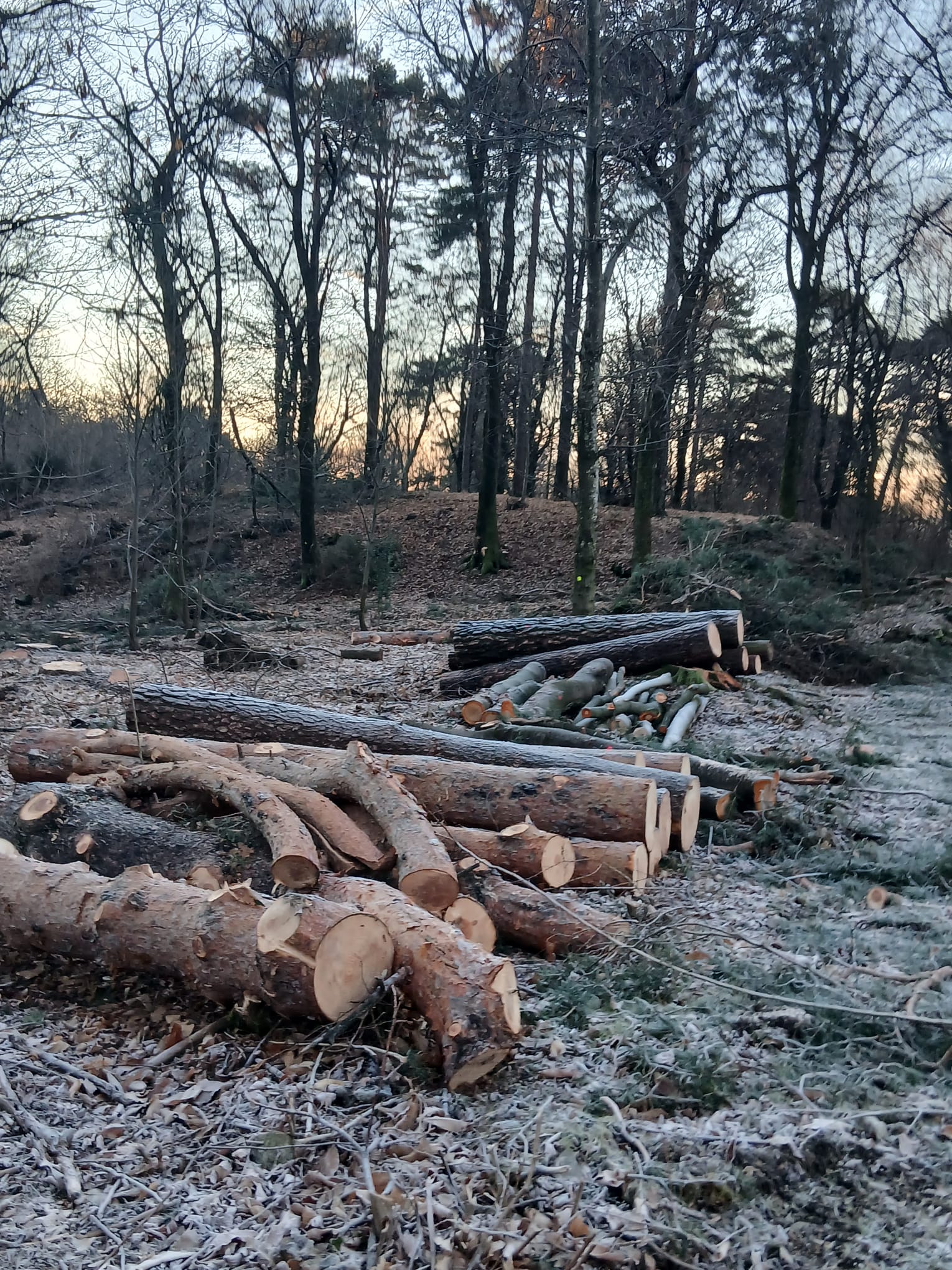 Avvio lavori selva SOSTEGnO