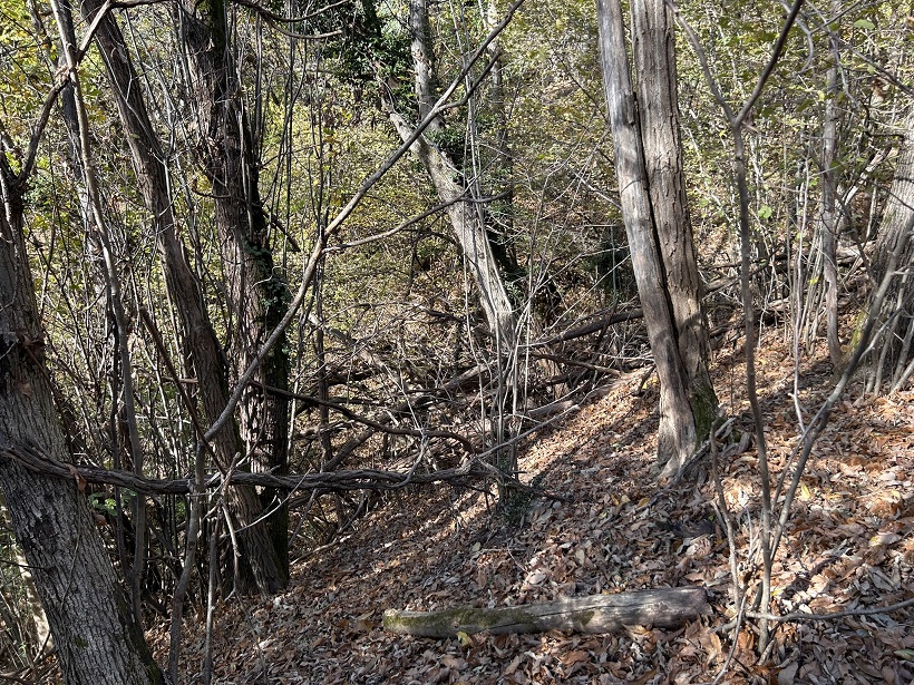 Prima dei lavori a Comerio