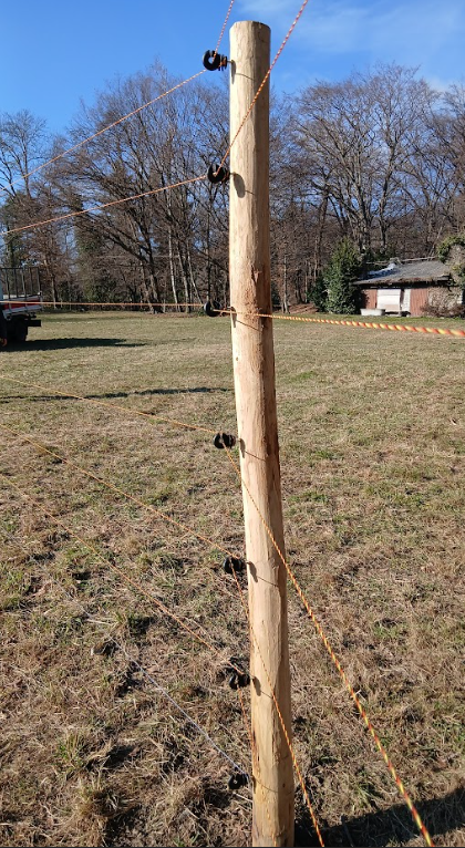 protezioni elettrificate