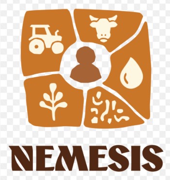 LOGO NEMESIS