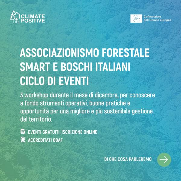 Copertina 3 Workshop LIFE