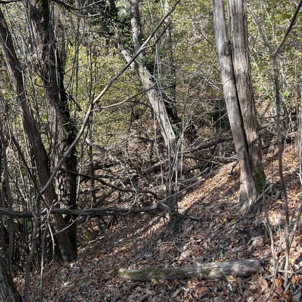 Prima dei lavori a Comerio