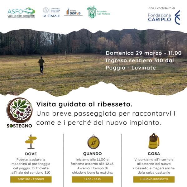 Invito alla visita del ribesseto