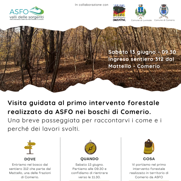 Invito visita Comerio